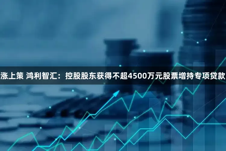 涨上策 鸿利智汇：控股股东获得不超4500万元股票增持专项贷款