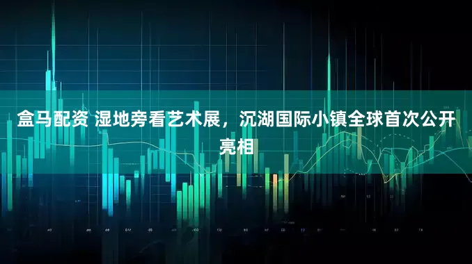 盒马配资 湿地旁看艺术展，沉湖国际小镇全球首次公开亮相