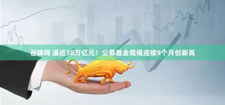 谷锦网 逼近38万亿元！公募基金规模连续9个月创新高