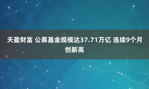 天盈财富 公募基金规模达37.71万亿 连续9个月创新高