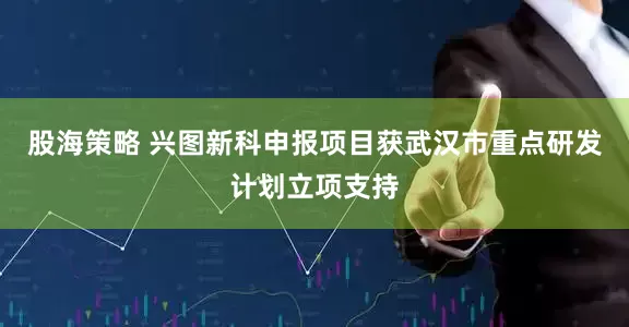 股海策略 兴图新科申报项目获武汉市重点研发计划立项支持