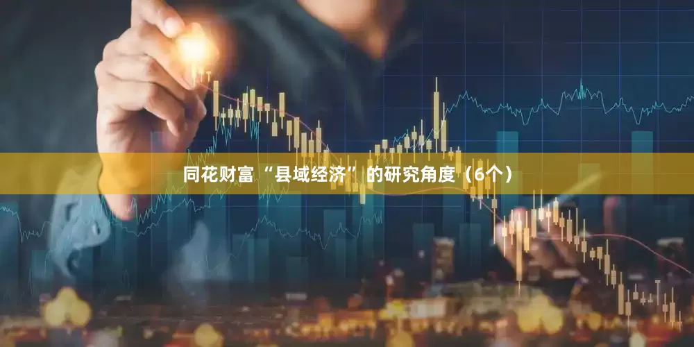 同花财富 “县域经济” 的研究角度（6个）
